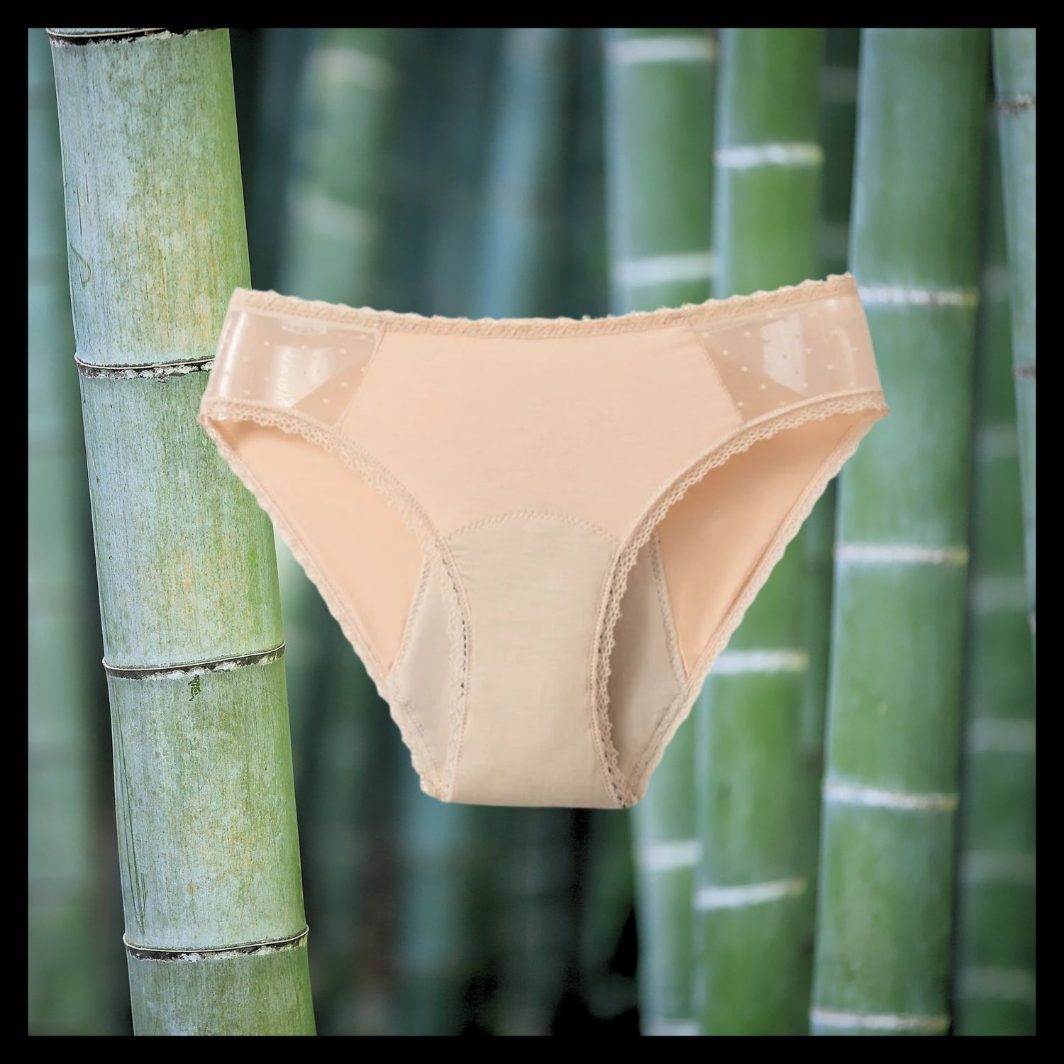 Fibre de Bambou